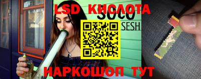 ГАЛЛЮЦИНОГЕННЫЕ ГРИБЫ Чебаркуль