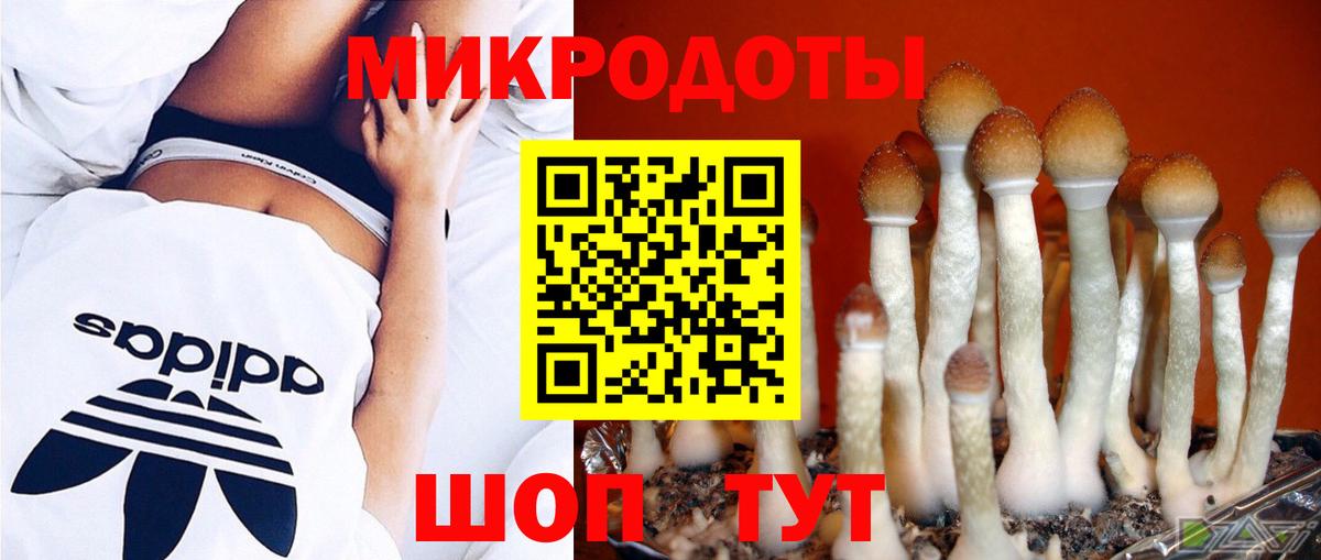 Псилоцибиновые грибы GOLDEN TEACHER Серов